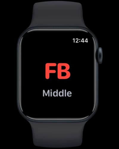 PitchTAC Apple Watch showing fastball pitch signal